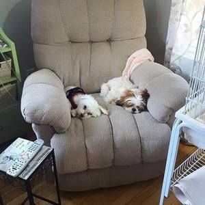 Meet your Posher, James